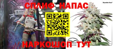 кокс Можга