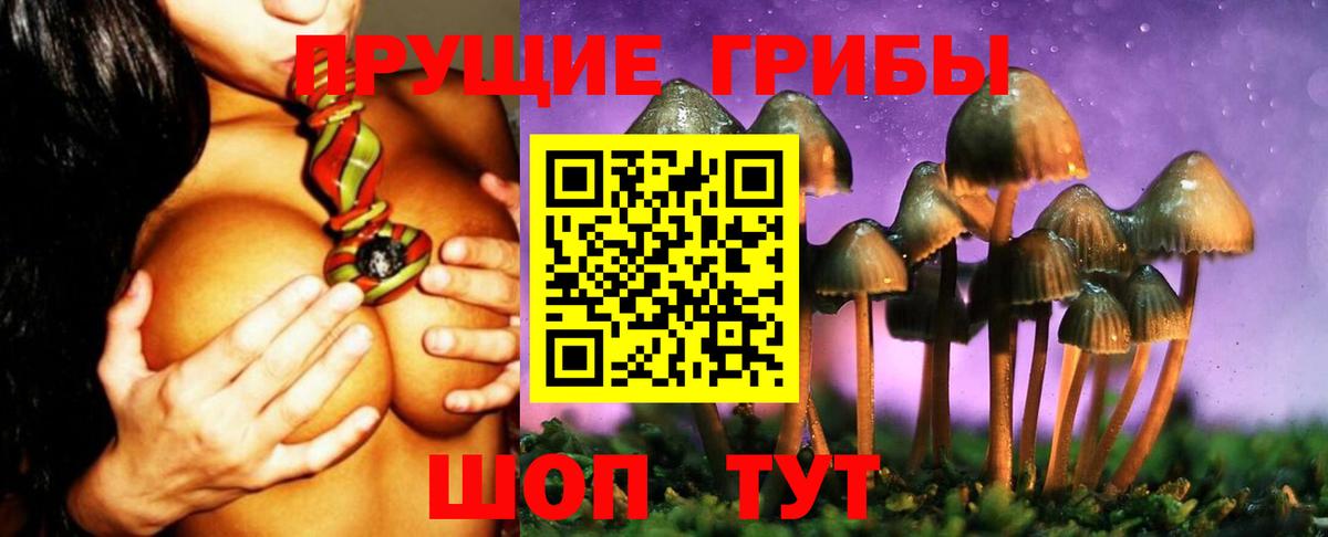 где можно купить наркотик  Псилоцибиновые грибы Psilocybe  Вход с VPN  Улан-Удэ  Галлюциногенные грибы GOLDEN TEACHER 